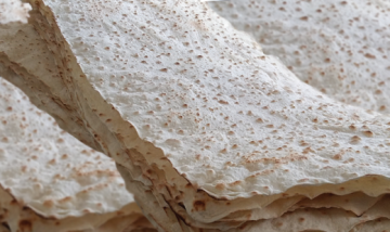 Lavash